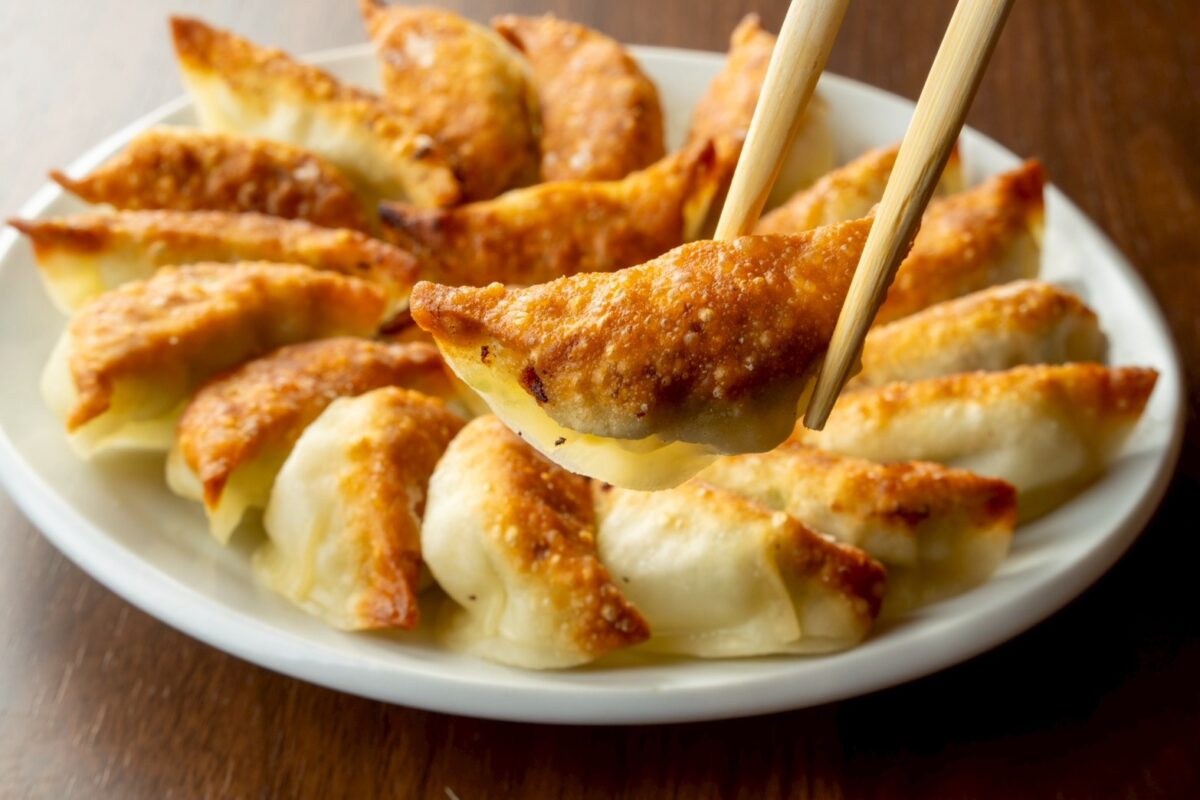 shinseikai-gyoza